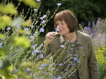 Kräutergarten erleben