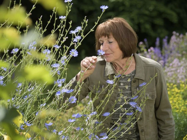 Kräutergarten erleben