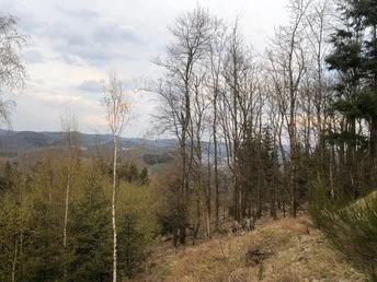 Wegimpressionen L2 Ortswanderweg Bad Laasphe