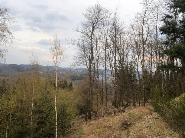 Wegimpressionen L2 Ortswanderweg Bad Laasphe