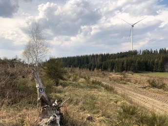 Wegimpressionen L2 Ortswanderweg Bad Laasphe