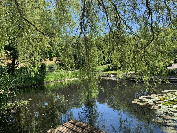 Teich Kurpark Bad Laasphe