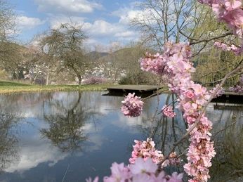Frühling Kurpark Bad Laasphe