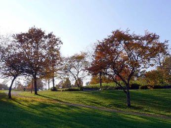 Herbst Blick auf Kurpark Bad Laasphe