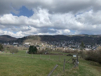 Blick auf Bad Laasphe