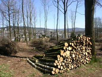 Historischer Hauberg Fellinghausen