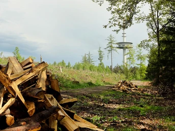 Der Sendeturm auf der Eisernhardt