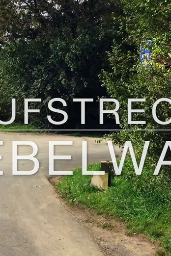 Laufstrecke über den Giebelwald – 13,3 Kilometer (Variante 9,9 km)