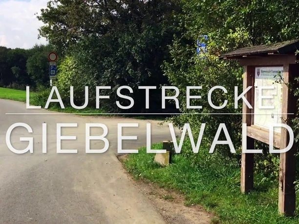 Laufstrecke über den Giebelwald – 13,3 Kilometer (Variante 9,9 km)