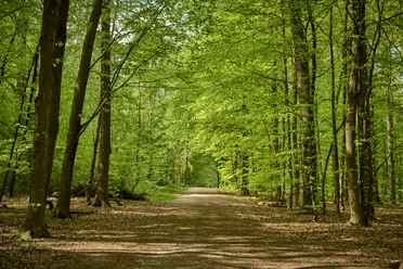 Erlebniswald Historischer Tiergarten Siegen Erlebniswald Historischer Tiergarten Siegen