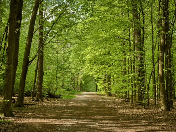 Erlebniswald Historischer Tiergarten Siegen Erlebniswald Historischer Tiergarten Siegen
