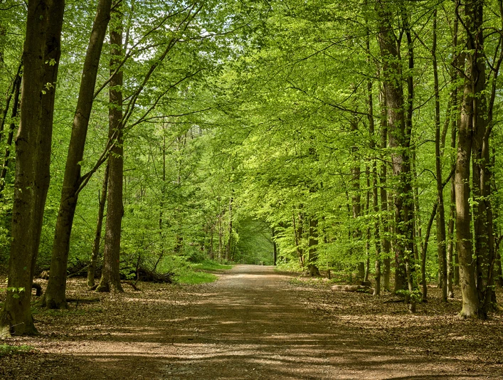 Erlebniswald Historischer Tiergarten Siegen Erlebniswald Historischer Tiergarten Siegen