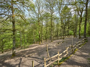 Erlebniswald Historischer Tiergarten Siegen, Damwildgehege Erlebniswald Historischer Tiergarten Siegen