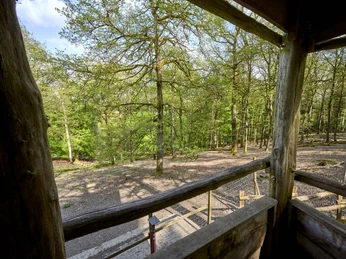 Erlebniswald Historischer Tiergarten Siegen, Damwildgehege Erlebniswald Historischer Tiergarten Siegen