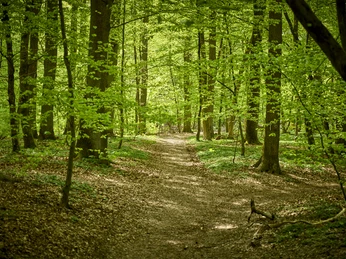 Erlebniswald Historischer Tiergarten Siegen Erlebniswald Historischer Tiergarten Siegen