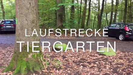 Laufstrecke Tiergarten in Siegen-Weidenau