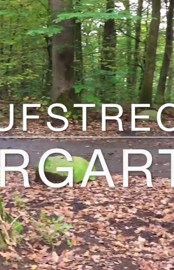 Laufstrecke Tiergarten in Siegen-Weidenau