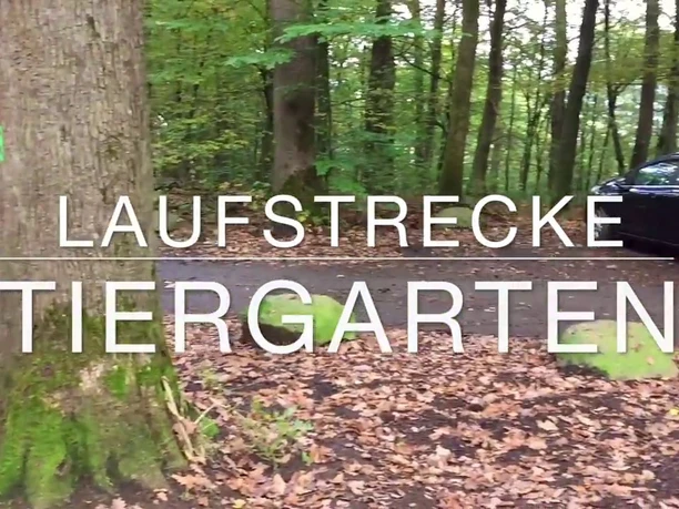 Laufstrecke Tiergarten in Siegen-Weidenau