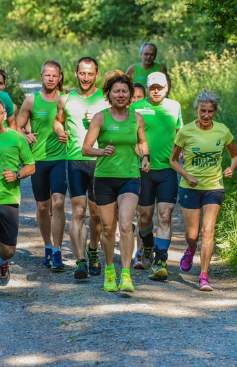 Harmonische Waldlandschaften und schöne Aussichten bietet die Runde entlang des "Hasenbahnhofs" und dem Rabenhein-Aussichtsturm in Siegen.