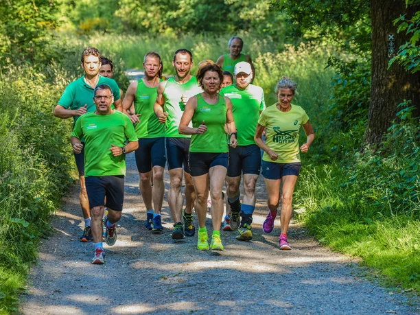 Harmonische Waldlandschaften und schöne Aussichten bietet die Runde entlang des "Hasenbahnhofs" und dem Rabenhein-Aussichtsturm in Siegen.