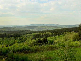 Blick vom Rabenhain-Turm nach Norden