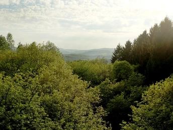 Blick vom Rabenhainturm in Richtung Eiserfeld