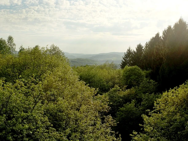 Blick vom Rabenhainturm in Richtung Eiserfeld