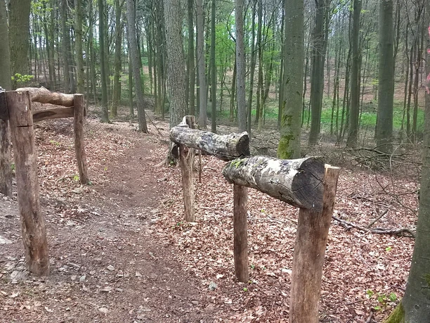 Der Siegener Flowtrail bietet gestaltete Wege, die jeder Biker nach seinen Fähigkeit fahren kann.