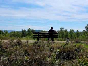 Die Trupbacher Heide bietet eine ungewöhnliche Natur und viele Aussichtspunkte zum Verweilen