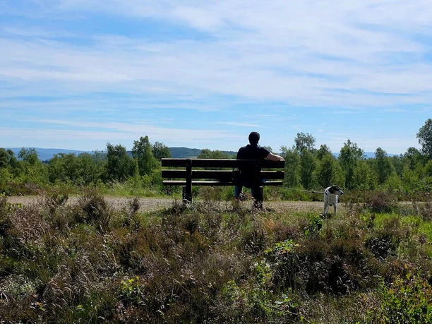 Die Trupbacher Heide bietet eine ungewöhnliche Natur und viele Aussichtspunkte zum Verweilen