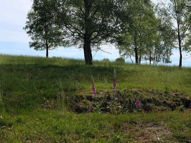 Die Trupbacher Heide bietet eine ungewöhnliche Natur und viele Aussichtspunkte zum Verweilen