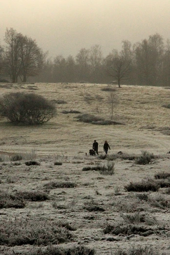 Die Trupbacher Heide in Winterstimmung