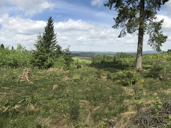 Blick vom Buberg nach Norden