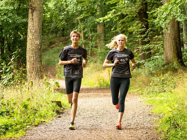 Ein schöner Rundkurs mitten in Siegen ist die Runde um den Häusling