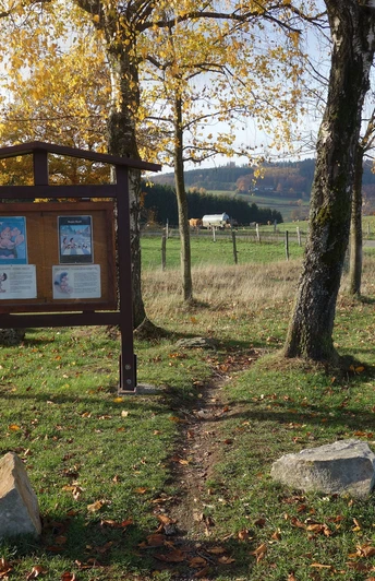 Beginn Dilldappenweg