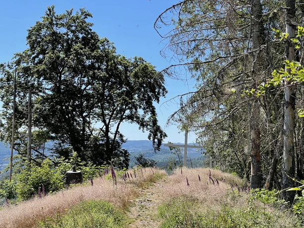 Gipfelkreuz Puderburg