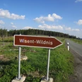Hinweisschild Wisent-Wildnis