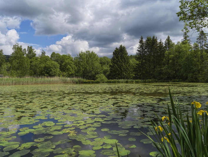 Littfelder Grubengelände, Kreuztal Littfelder Grubengelände, Kreuztal