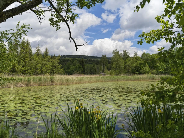 Littfelder Grubengelände, Kreuztal Littfelder Grubengelände, Kreuztal