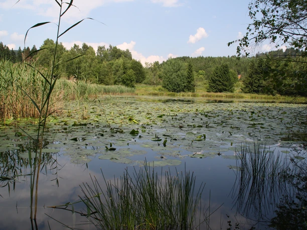 Weiher der ehemaligen Aufbereitung der Grube Altenberg