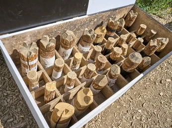 Bühlgarten (Spielplatz) Bühlgarten (Spielplatz)