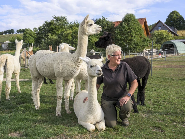 Alpaka-Ranch Dörnbach Alpaka-Ranch Dörnbach