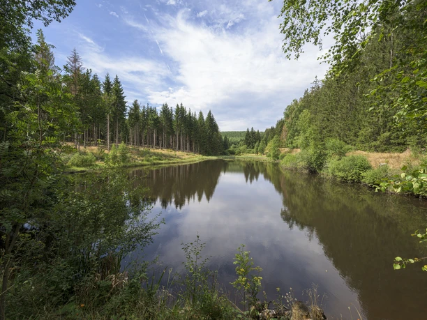 Seebacher Weiher