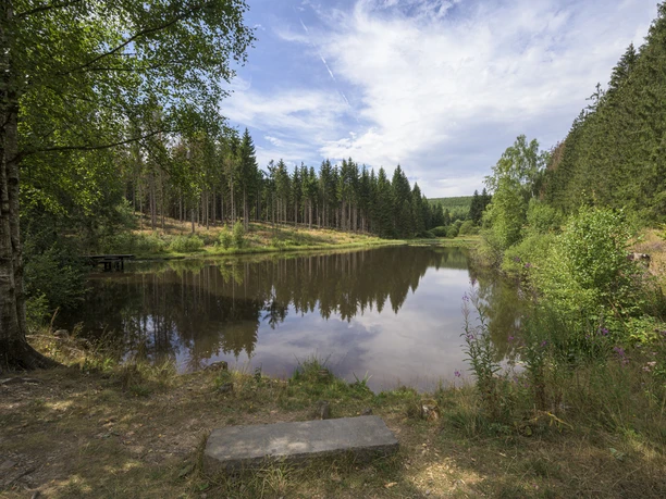Seebacher Weiher