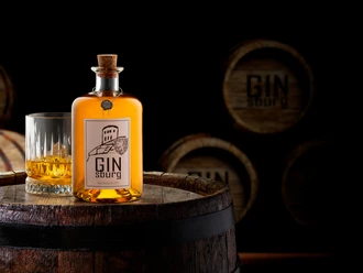 GINsburg GIN