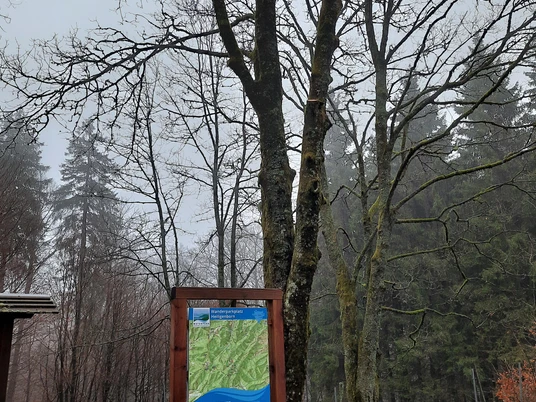 Heiligenborn- Ausgangspunkt für zahlreiche Touren ins Ilsetal