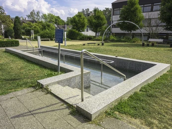Tretbecken im Stadtgarten Tretbecken im Stadtgarten