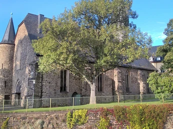 Martinikirche Siegen