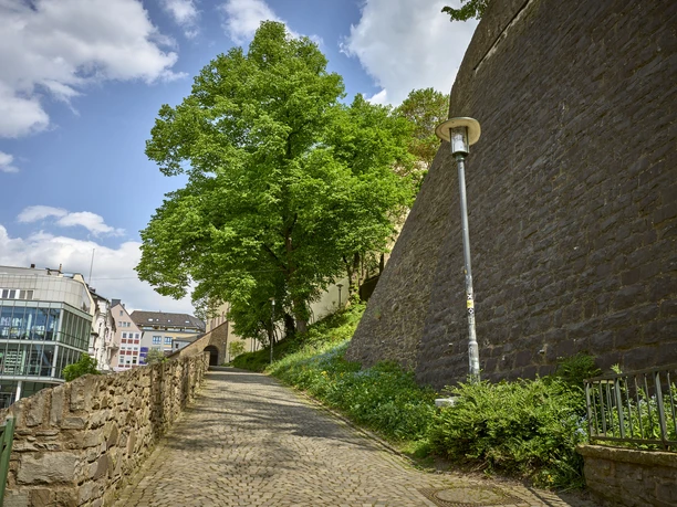 Alte Stadtmauer Siegen
