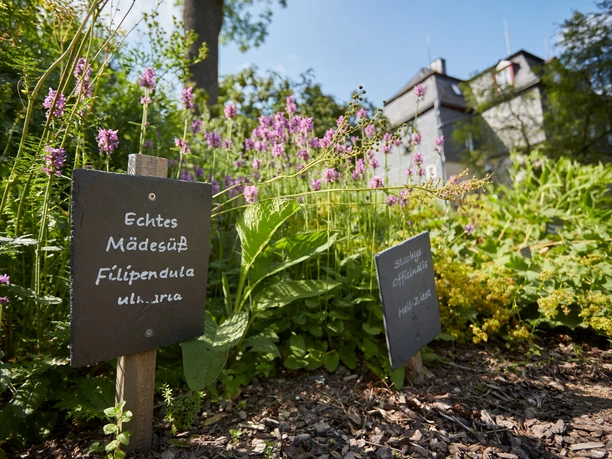 Kräutergarten im Schlosspark Siegen Kräutergarten im Schlosspark Siegen